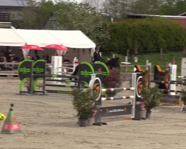 Reitturnier Looperholzer Turniertage 2024