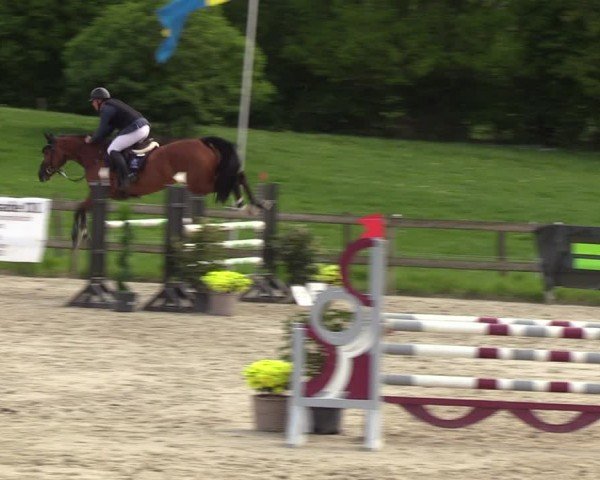 Reitturnier Looperholzer Turniertage 2024