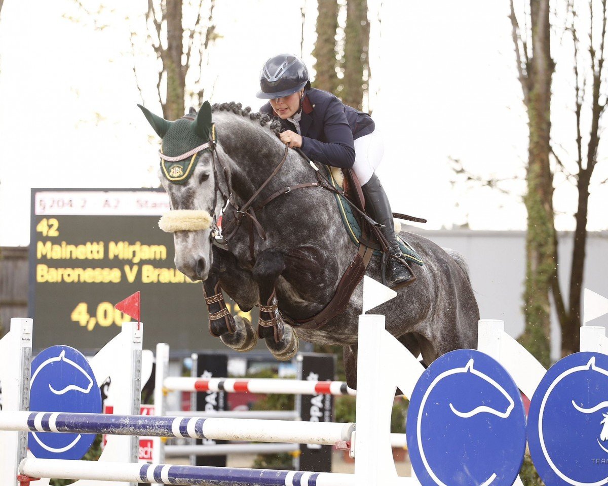 jumper Baronesse Von Braunberg (Zangersheide riding horse, 2015, from Mylord Quidam Z)