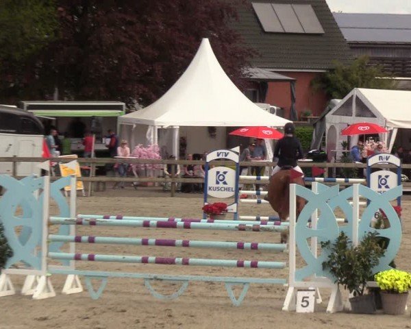 Reitturnier Looperholzer Turniertage 2024