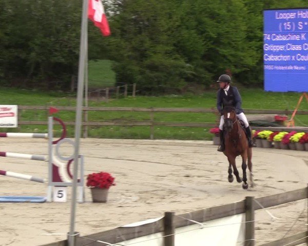 Reitturnier Looperholzer Turniertage 2024