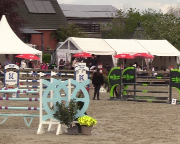 Reitturnier Looperholzer Turniertage 2024