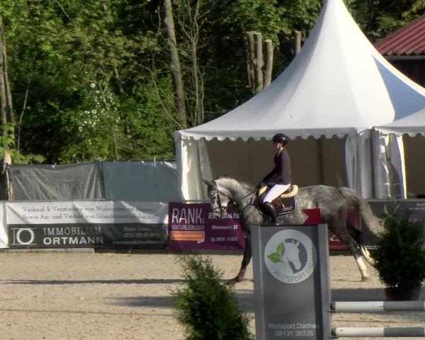 Reitturnier Karlsfeld/Obb. 2024