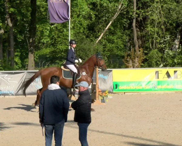 Reitturnier Karlsfeld/Obb. 2024