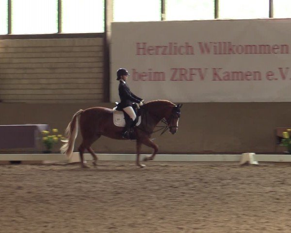 Reitturnier Kamen 2024