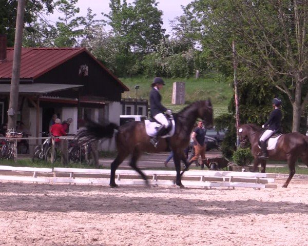 Reitturnier Derenburg 2024