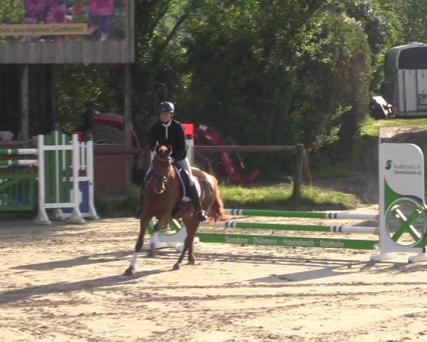 Reitturnier Havixbeck 2024