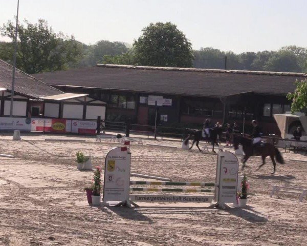 Reitturnier Havixbeck 2024