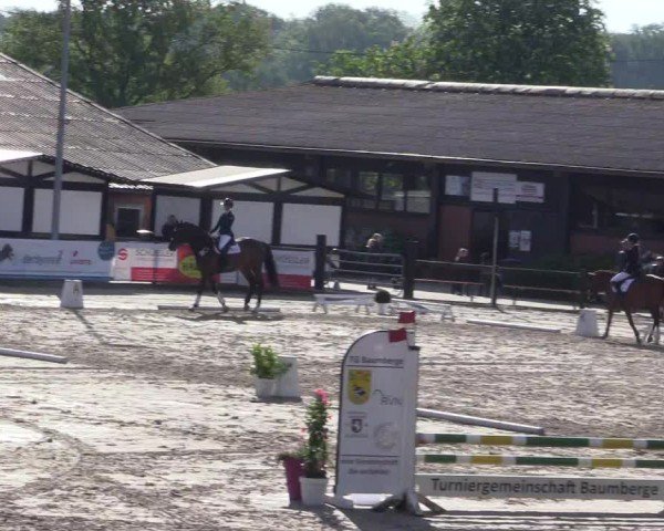 Reitturnier Havixbeck 2024