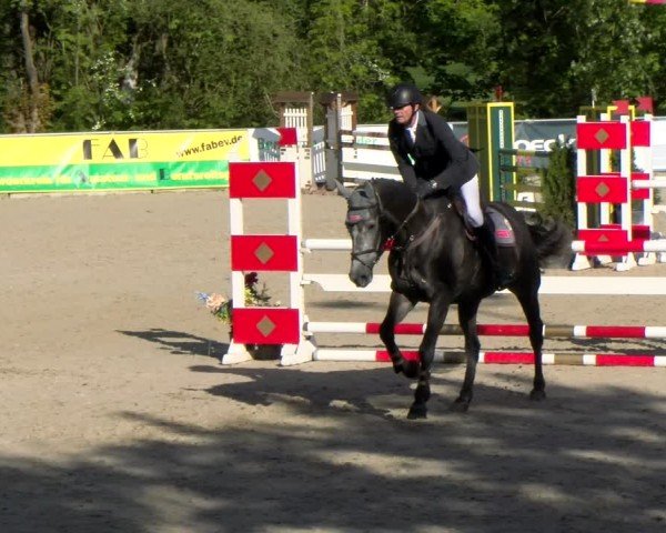 Reitturnier Karlsfeld/Obb. 2024