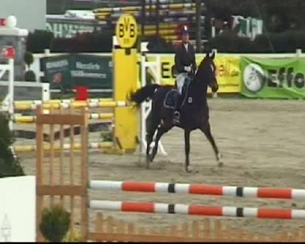 Werne-Lenklarer Reitertage vom 13.-15.+17.-22.04.2012 auf der Reitsportanlage Gripshöver