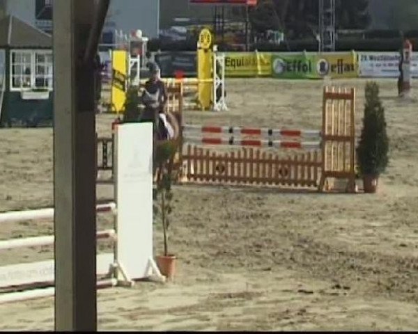 Werne-Lenklarer Reitertage vom 13.-15.+17.-22.04.2012 auf der Reitsportanlage Gripshöver