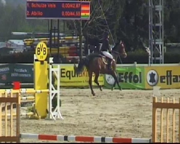 Reitturnier Werne-Lenklar 2012