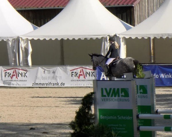 Reitturnier Karlsfeld/Obb. 2024