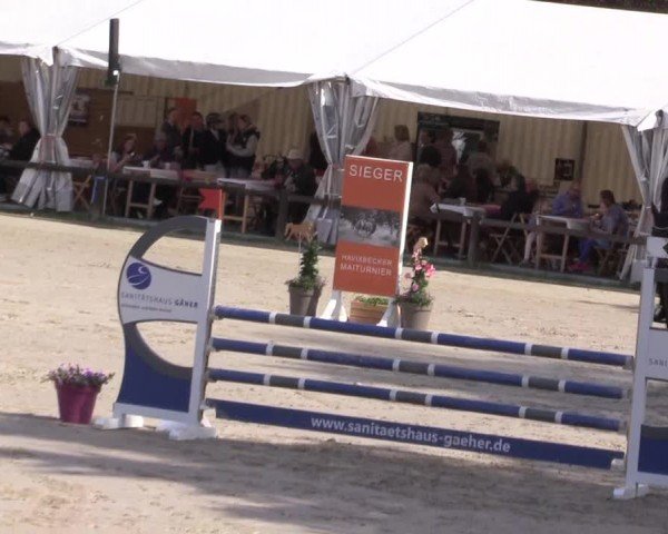 Reitturnier Havixbeck 2024