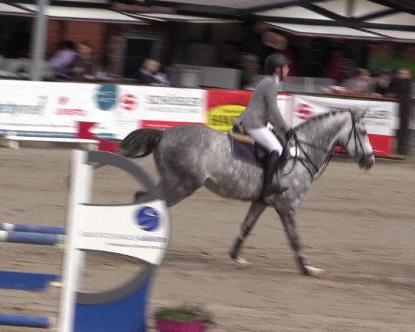 Reitturnier Havixbeck 2024