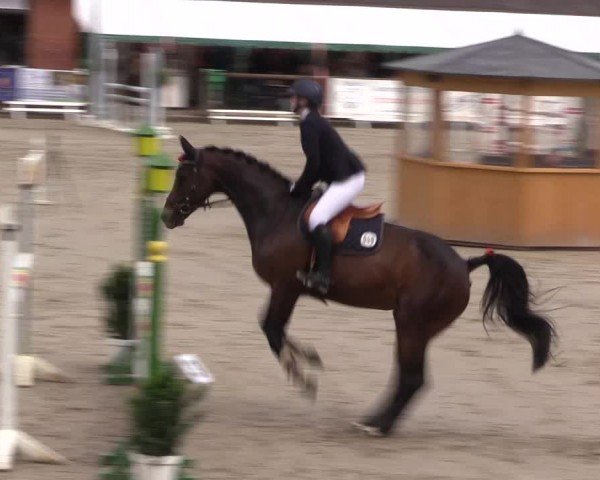 Reitturnier Havixbeck 2024