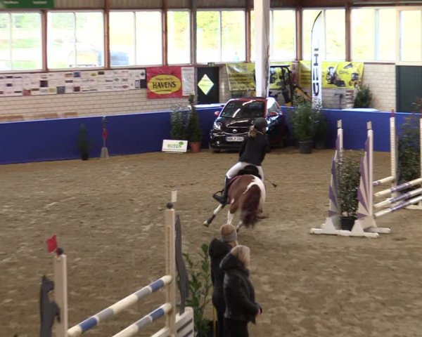Euregio Springturnier Isterberg 2021