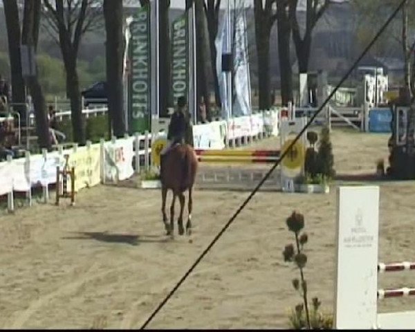Werne-Lenklarer Reitertage vom 13.-15.+17.-22.04.2012 auf der Reitsportanlage Gripshöver