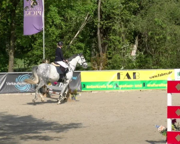 Reitturnier Karlsfeld/Obb. 2024
