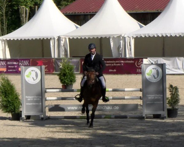 Reitturnier Karlsfeld/Obb. 2024