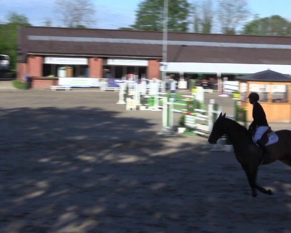 Reitturnier Havixbeck 2024