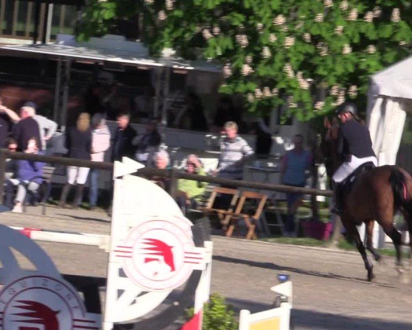 Reitturnier Havixbeck 2024