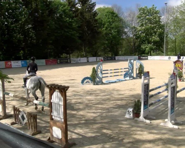Reitturnier Karlsfeld/Obb. 2024
