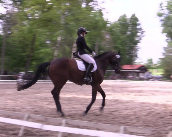 Reitturnier Derenburg 2024