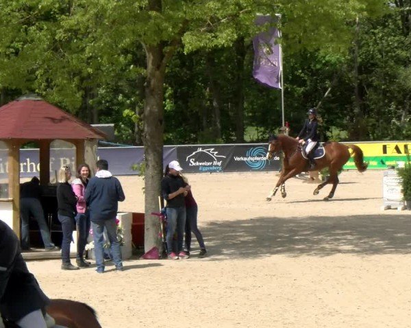 Reitturnier Karlsfeld/Obb. 2024