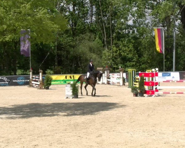 Reitturnier Karlsfeld/Obb. 2024