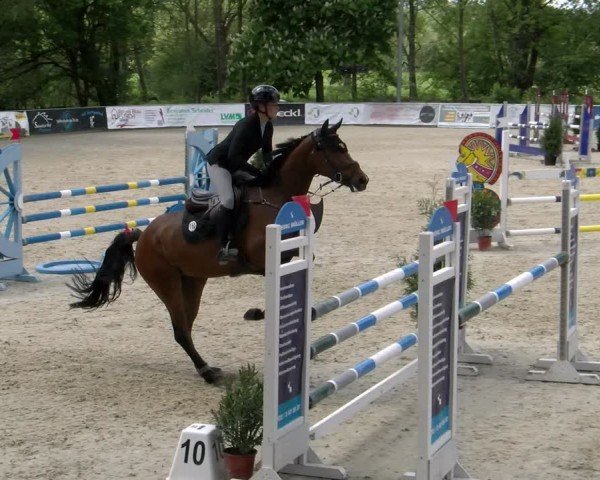 Reitturnier Karlsfeld/Obb. 2024