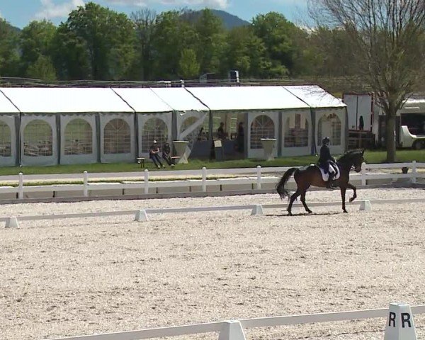 Reitturnier Gut Bohmerhof-Wackersberg/Obb. 2024