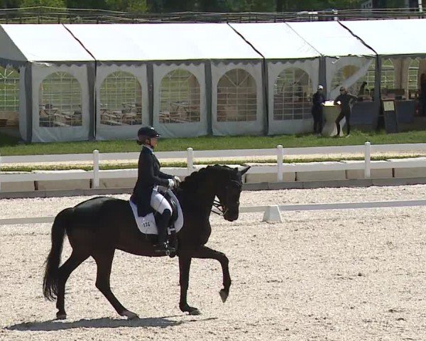 Reitturnier Gut Bohmerhof-Wackersberg/Obb. 2024