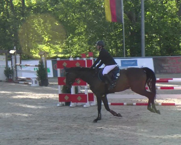 Reitturnier Karlsfeld/Obb. 2024