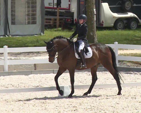 Reitturnier Gut Bohmerhof-Wackersberg/Obb. 2024