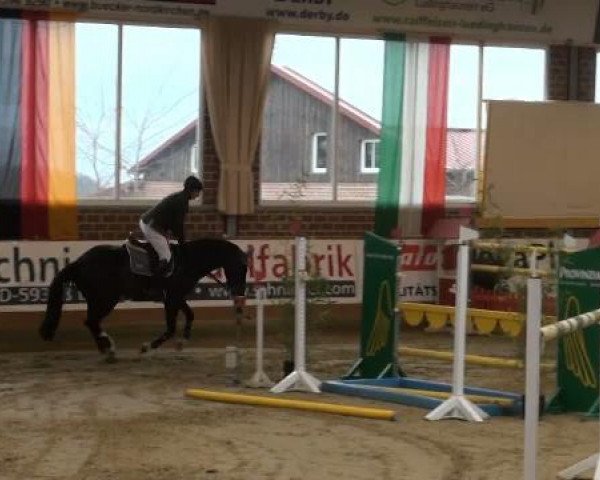 Rosendorf-Classics 2012