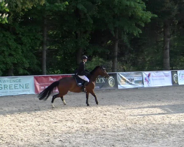 Reitturnier Karlsfeld/Obb. 2024