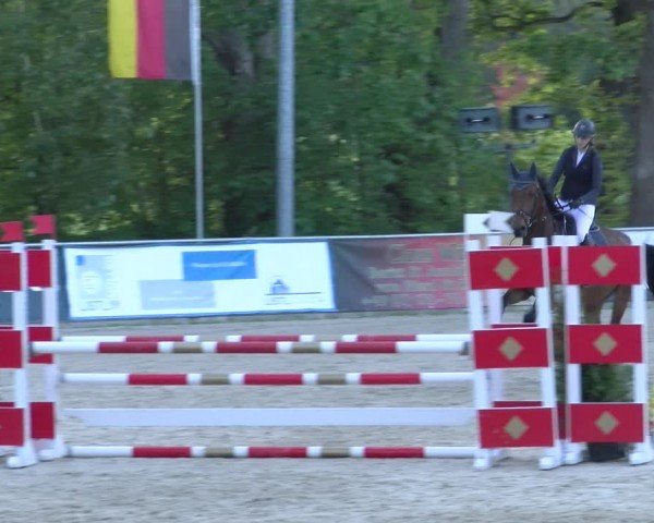 Reitturnier Karlsfeld/Obb. 2024