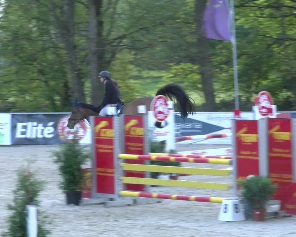 Reitturnier Karlsfeld/Obb. 2024