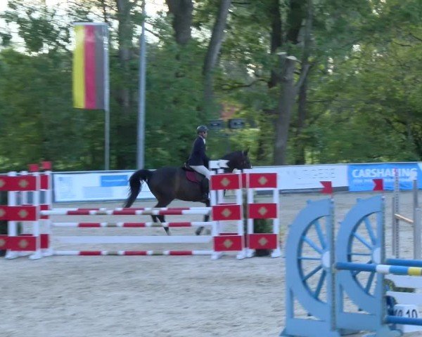Reitturnier Karlsfeld/Obb. 2024
