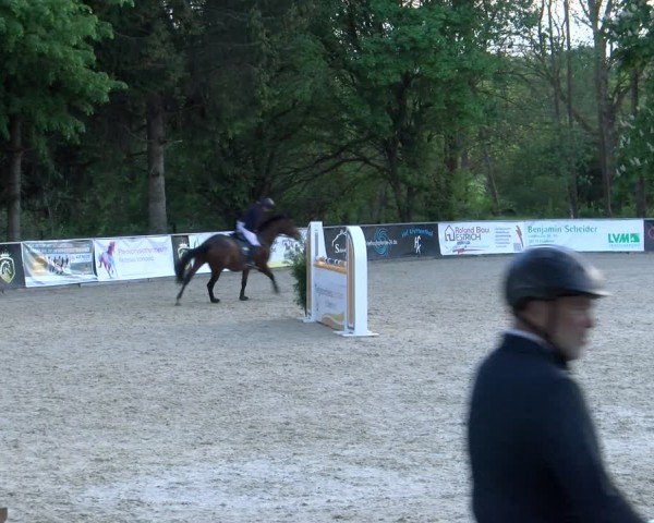Reitturnier Karlsfeld/Obb. 2024