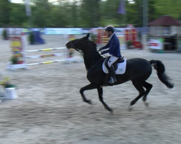 Reitturnier Karlsfeld/Obb. 2024