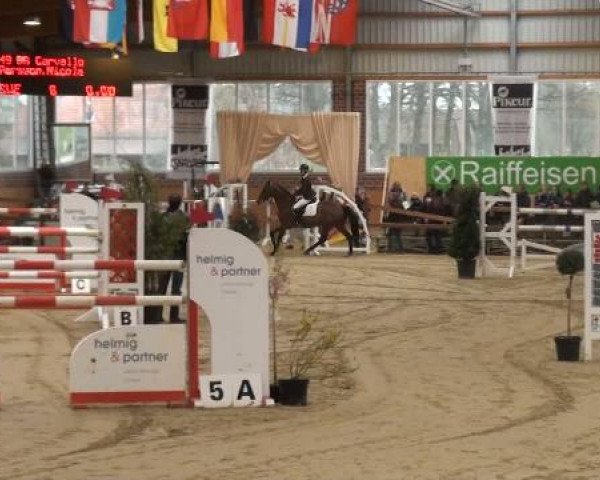 Rosendorf-Classics 2012