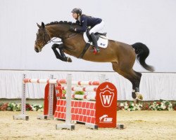 Springpferd Crossing Jordan R (Westfale, 2011, von Cancara)