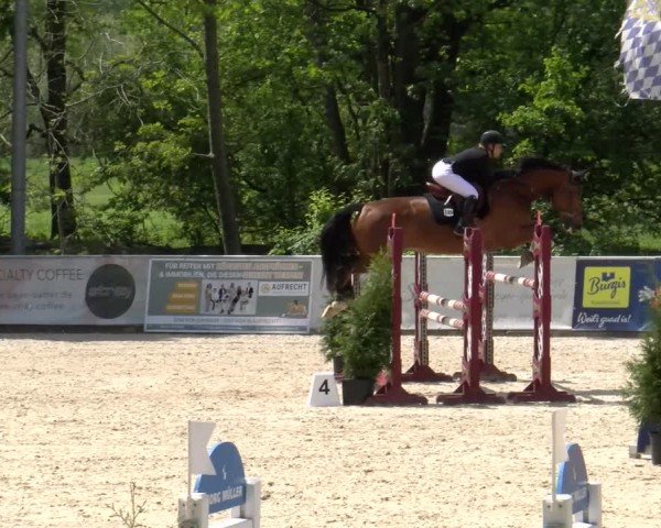 Reitturnier Karlsfeld/Obb. 2024
