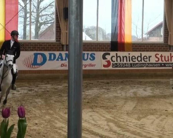 Rosendorf-Classics 2012