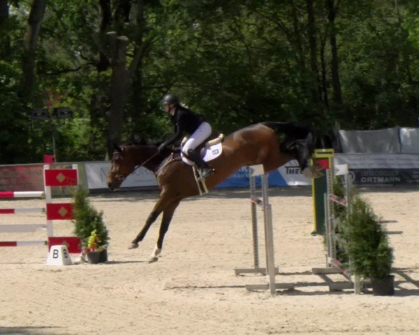 Reitturnier Karlsfeld/Obb. 2024