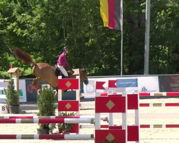 Reitturnier Karlsfeld/Obb. 2024