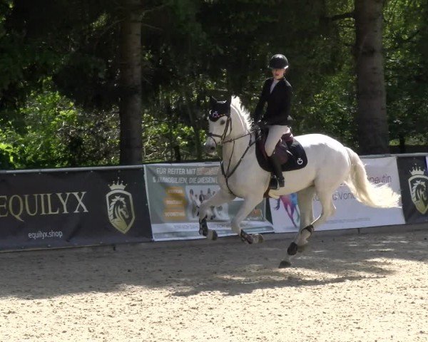 Reitturnier Karlsfeld/Obb. 2024